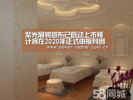 紫光展锐宣布已启动上市预计将在2020年正式申报科创板“爱游戏官网”(图2) 爱游戏体育平台